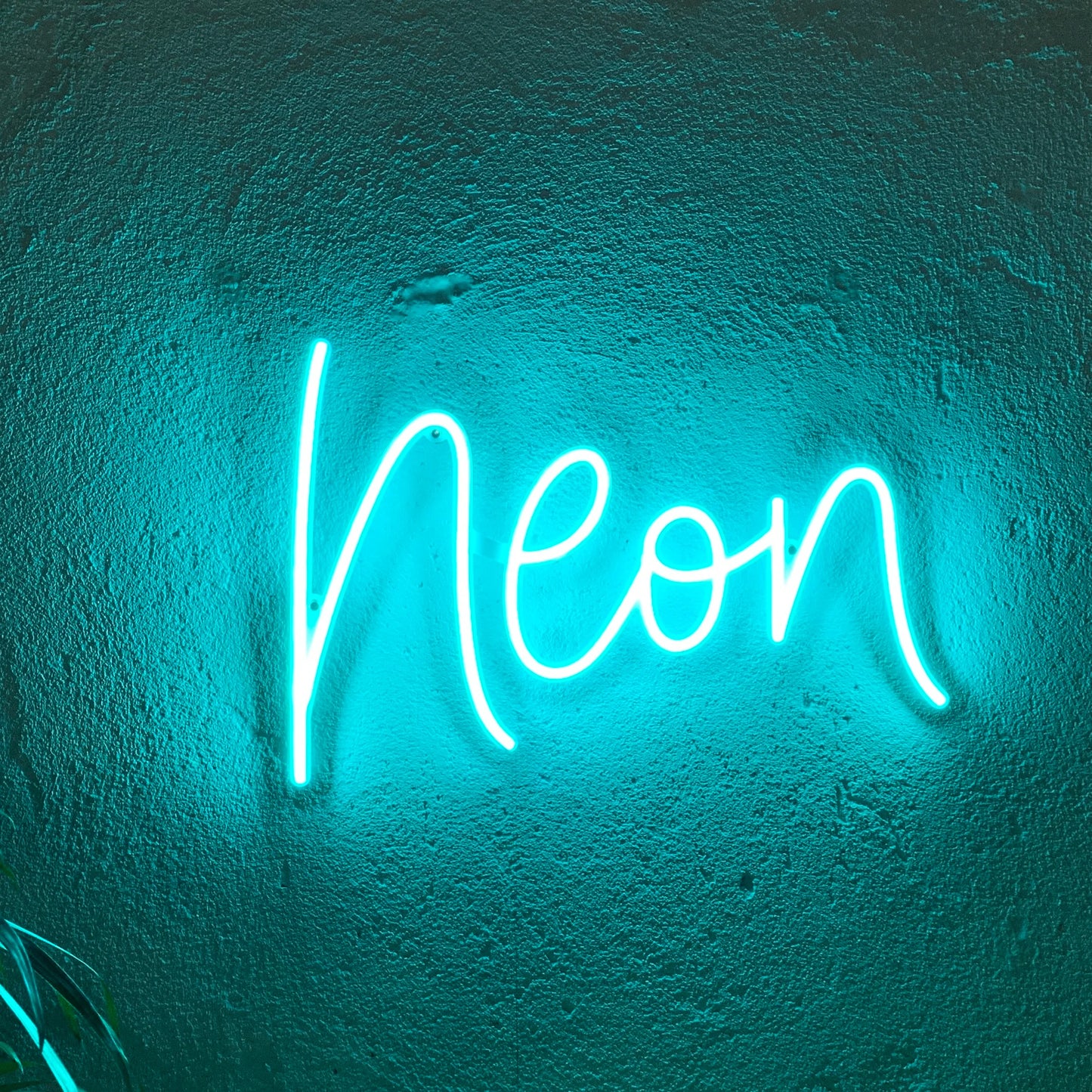 Custom Neon Letter Signs, Mounted on Clear Backboard, (Upload Your Own Font)