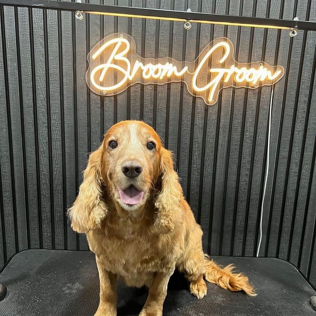 Broom Groom Neon Sign