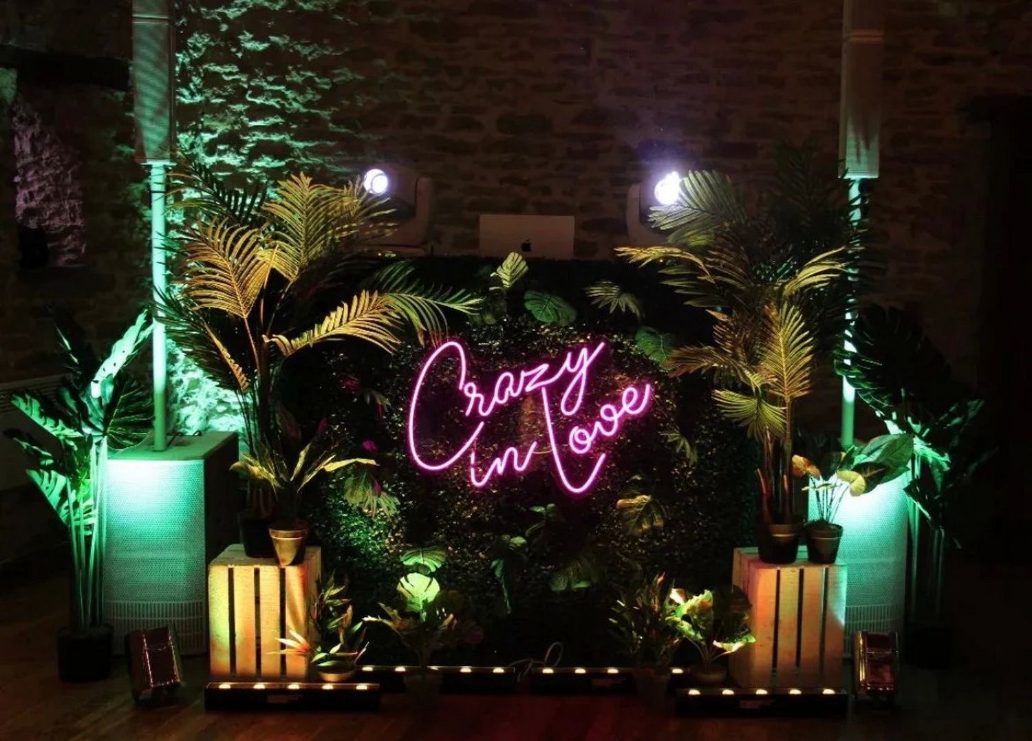 Crazy in Love Neon Sign