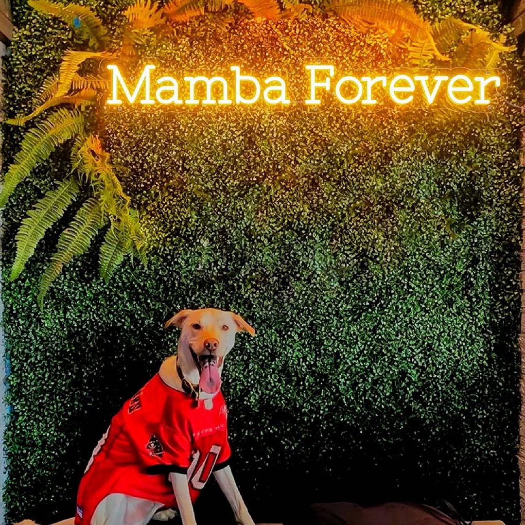 Mamba Forever Neon Sign