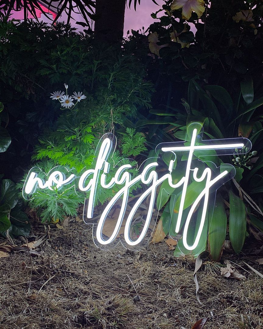 No Diggity Neon Sign