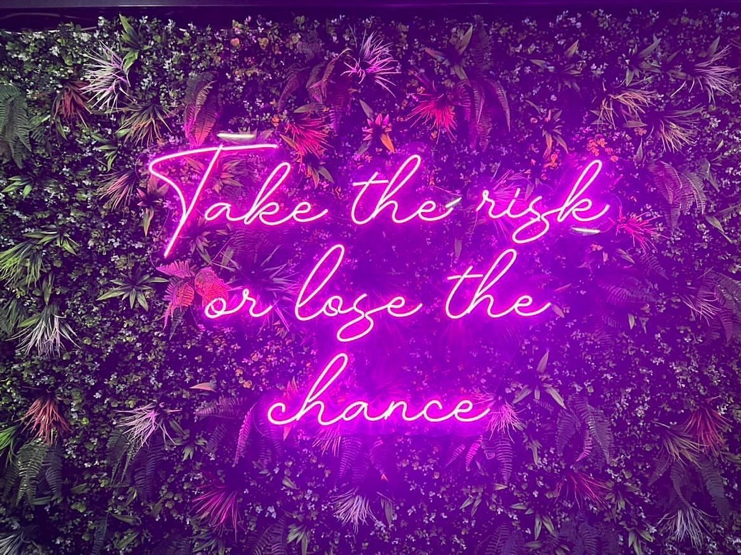 Take The Risk Or Lose The Chance Neon Sign