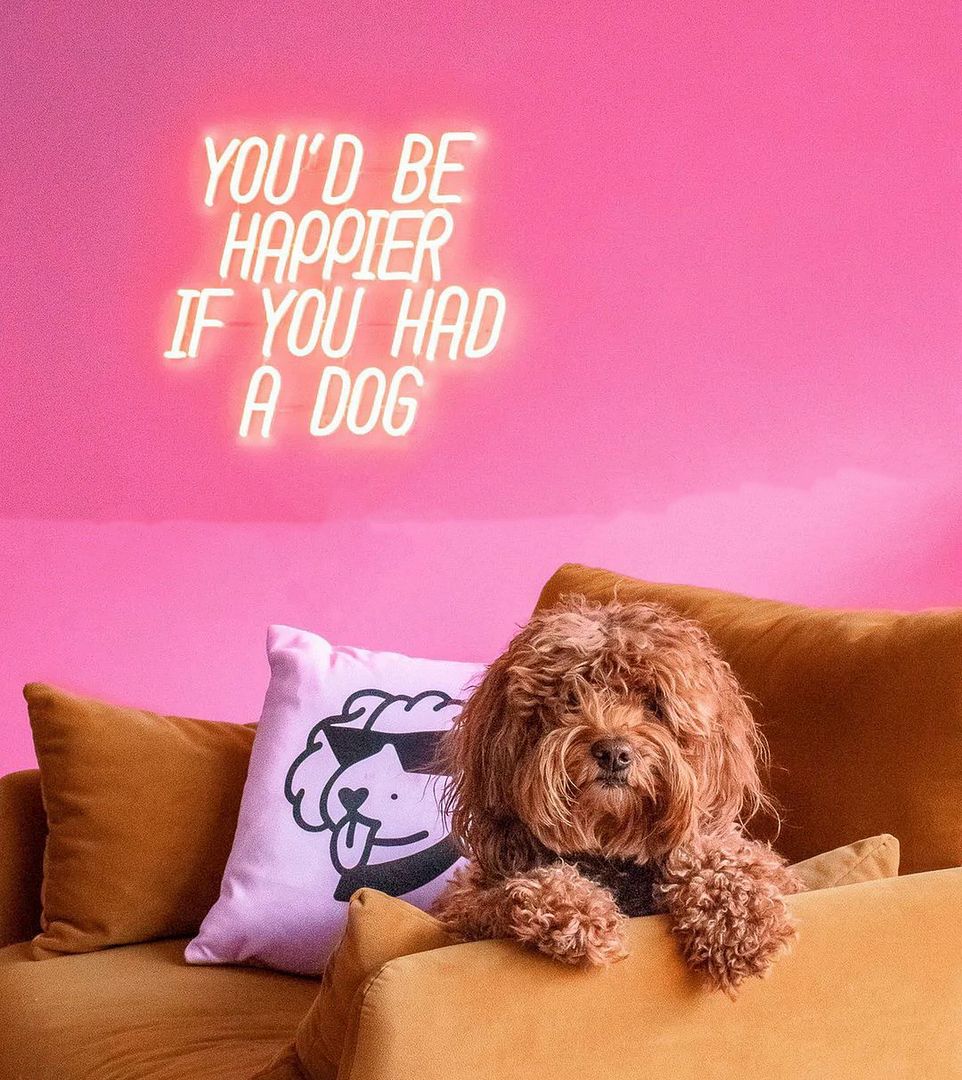 You'd Be Happier if You Had a Dog Neon Sign